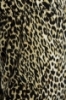 Detské legíny  - gepard 146*176