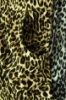 Detské nohavice - gepard 146*176